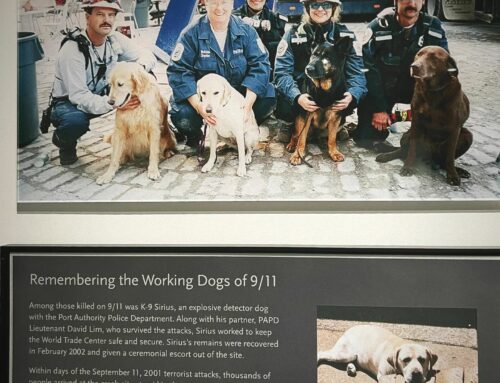 World Trade Center 9/11 Memorial, NYC